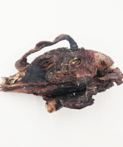 Crunchy Turkey Head Chew