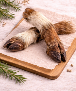 Lamb Trotter