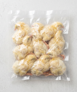 Day Old Chicks