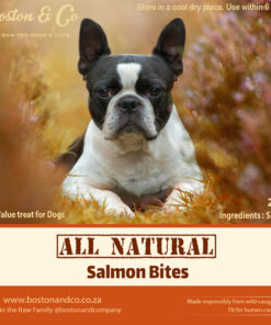 Salmon Bites