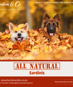 Sardinis