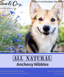 Anchovy Nibbles